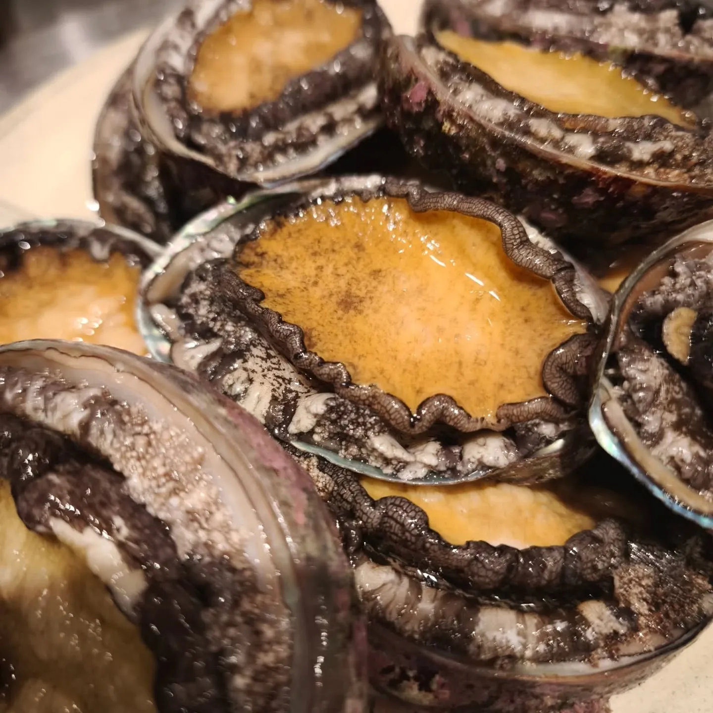 皆様いよいよクリスマス本番、素敵な夜を！メリークリスマス！！