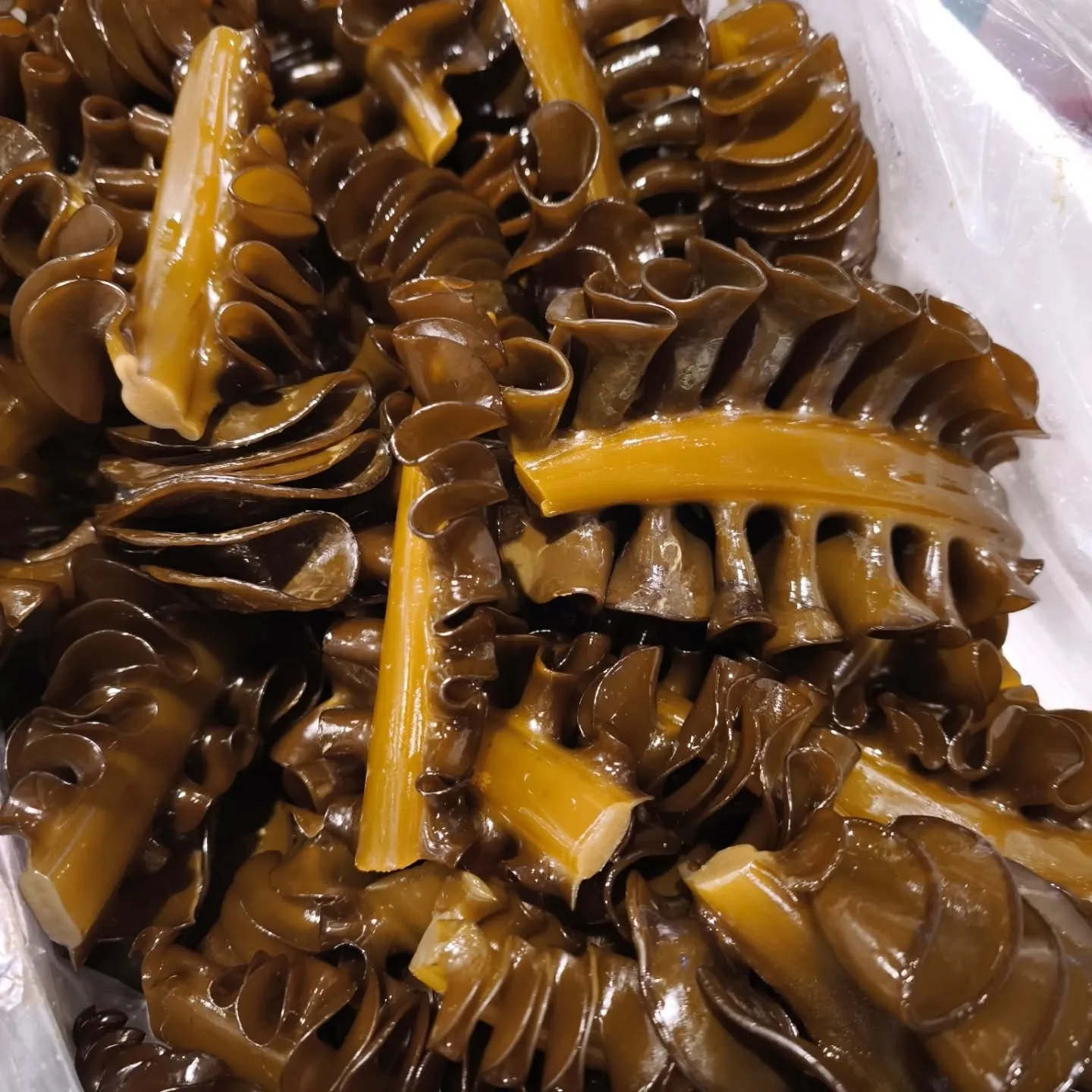 三寒四温、体調管理が毎日難しいですね!気を付けて参りましょう...